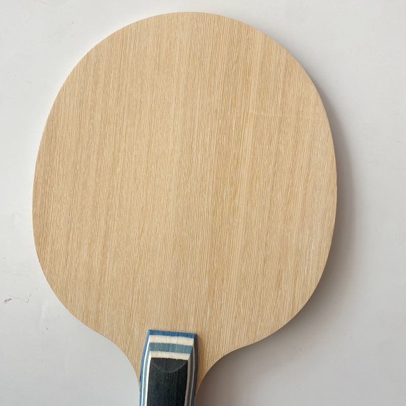 Lemuria VIS Carbon Fiber Table - Stiga Carbon Blade review and price
