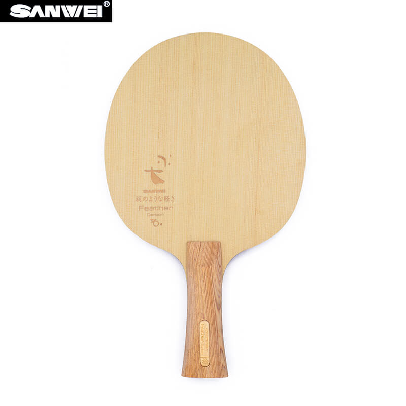 SANWEI Feather Carbon Table Te - Stiga Carbon Blade review and price